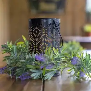 The Villager Bar & Restaurant, Garden Venue Glasson