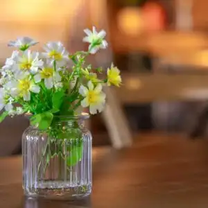 The Villager Bar & Restaurant, Garden Venue Glasson